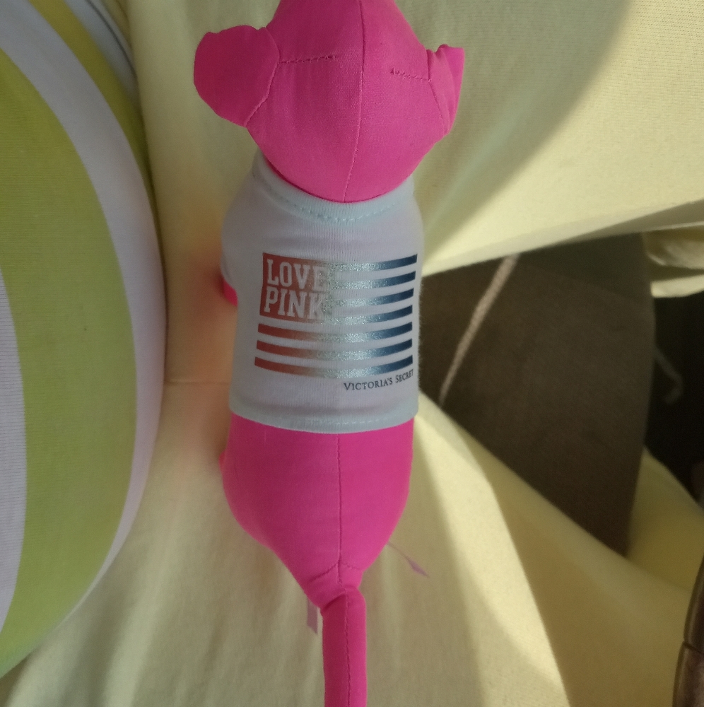 DO NOT BUY THIS ILL CANCLE IT!!!! Pink flag Shirt dog